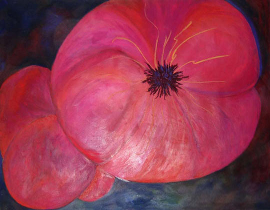 Santa Fe Bloom